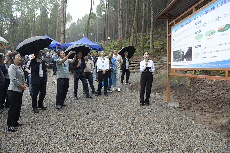 全省國(guó)家儲(chǔ)備林建設(shè)工作現(xiàn)場(chǎng)推進(jìn)會(huì)參觀(guān)通江縣兩山公司項(xiàng)目